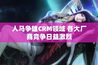 人马争雄CRM领域 各大厂商竞争日益激烈