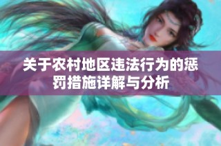关于农村地区违法行为的惩罚措施详解与分析
