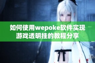 如何使用wepoke软件实现游戏透明挂的教程分享