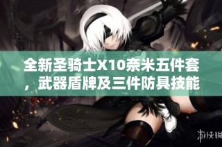 全新圣骑士X10奈米五件套，武器盾牌及三件防具技能已优化完成