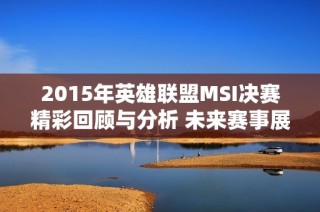 2015年英雄联盟MSI决赛精彩回顾与分析 未来赛事展望