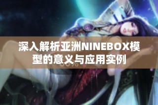 深入解析亚洲NINEBOX模型的意义与应用实例