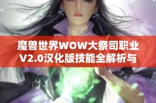 魔兽世界WOW大祭司职业V2.0汉化版技能全解析与介绍