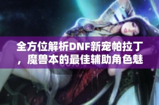 全方位解析DNF新宠帕拉丁，魔兽本的最佳辅助角色魅力所在