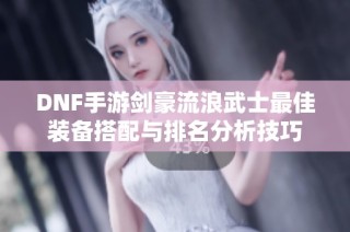 DNF手游剑豪流浪武士最佳装备搭配与排名分析技巧