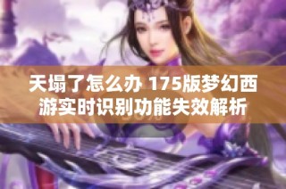 天塌了怎么办 175版梦幻西游实时识别功能失效解析