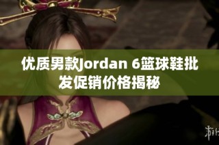 优质男款Jordan 6篮球鞋批发促销价格揭秘