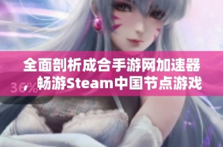 全面剖析成合手游网加速器，畅游Steam中国节点游戏乐趣