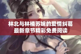 林北与林楠苏婉的爱情纠葛最新章节精彩免费阅读