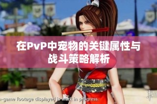 在PvP中宠物的关键属性与战斗策略解析