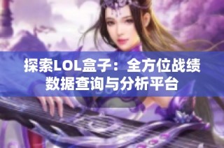 探索LOL盒子：全方位战绩数据查询与分析平台
