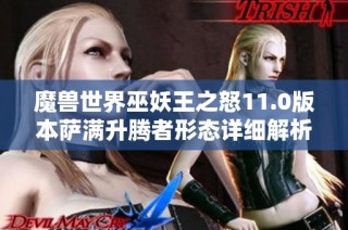 魔兽世界巫妖王之怒11.0版本萨满升腾者形态详细解析与技巧分享