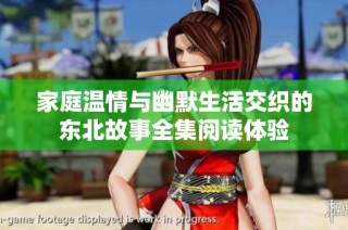 家庭温情与幽默生活交织的东北故事全集阅读体验