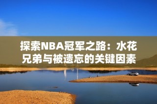 探索NBA冠军之路：水花兄弟与被遗忘的关键因素