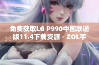 免费获取LG P990中国联通版11.4下载资源 - ZOL手