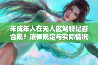 未成年人在无人区驾驶是否合规？法律规定与实际情况解析