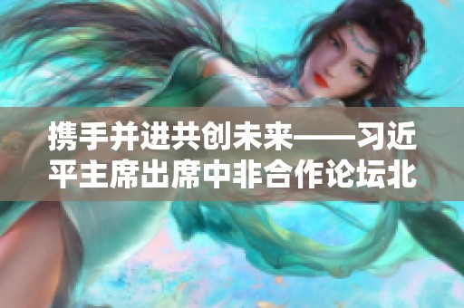 携手并进共创未来——习近平主席出席中非合作论坛北京峰会纪实