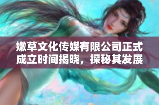 嫩草文化传媒有限公司正式成立时间揭晓，探秘其发展历程与未来布局