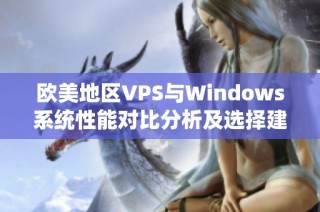 欧美地区VPS与Windows系统性能对比分析及选择建议