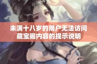 未满十八岁的用户无法访问藏宝阁内容的提示说明