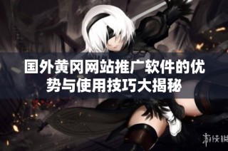 国外黄冈网站推广软件的优势与使用技巧大揭秘