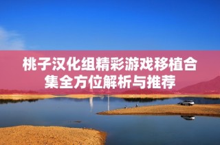 桃子汉化组精彩游戏移植合集全方位解析与推荐