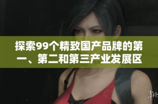 探索99个精致国产品牌的第一、第二和第三产业发展区域