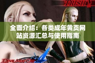 全面介绍：各类成年黄页网站资源汇总与使用指南