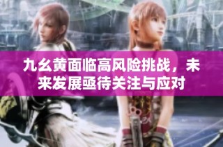 九幺黄面临高风险挑战，未来发展亟待关注与应对