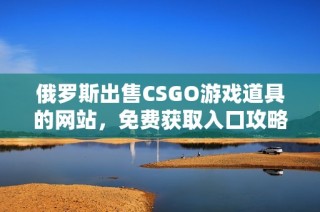 俄罗斯出售CSGO游戏道具的网站，免费获取入口攻略