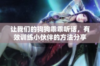 让我们的狗狗乖乖听话，有效训练小伙伴的方法分享