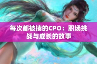 每次都被揍的CPO：职场挑战与成长的故事