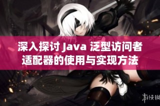 深入探讨 Java 泛型访问者适配器的使用与实现方法