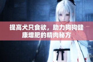 提高犬只食欲，助力狗狗健康增肥的精肉秘方