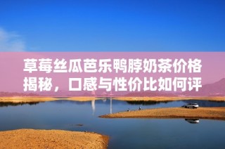 草莓丝瓜芭乐鸭脖奶茶价格揭秘，口感与性价比如何评估