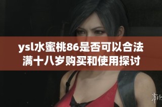 ysl水蜜桃86是否可以合法满十八岁购买和使用探讨