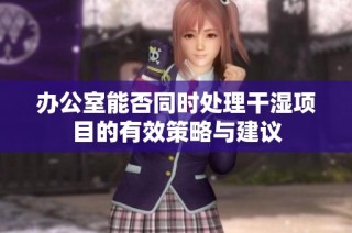 办公室能否同时处理干湿项目的有效策略与建议