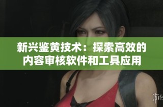 新兴鉴黄技术：探索高效的内容审核软件和工具应用