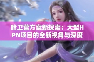 暗卫营方案新探索：大型HPN项目的全新视角与深度分析