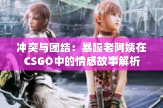 冲突与团结:暴躁老阿姨在CSGO中的情感故事解析