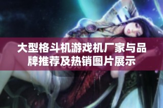 大型格斗机游戏机厂家与品牌推荐及热销图片展示