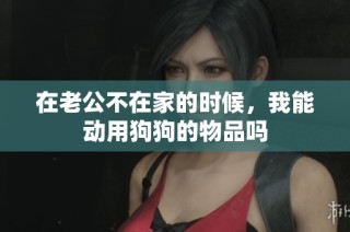在老公不在家的时候，我能动用狗狗的物品吗