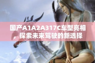 国产A1A2A317C车型亮相，探索未来驾驶的新选择