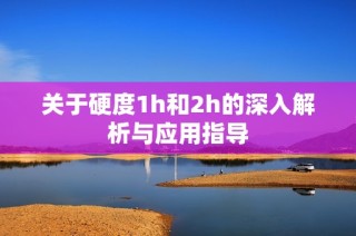 关于硬度1h和2h的深入解析与应用指导