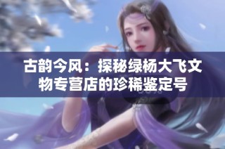 古韵今风:探秘绿杨大飞文物专营店的珍稀鉴定号