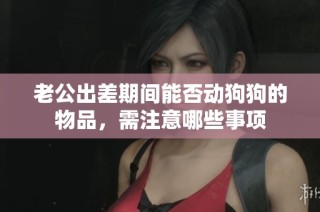 老公出差期间能否动狗狗的物品，需注意哪些事项