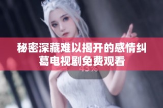 秘密深藏难以揭开的感情纠葛电视剧免费观看