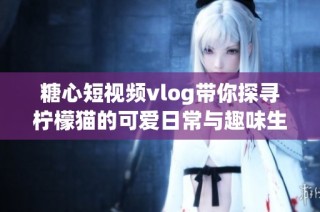 糖心短视频vlog带你探寻柠檬猫的可爱日常与趣味生活