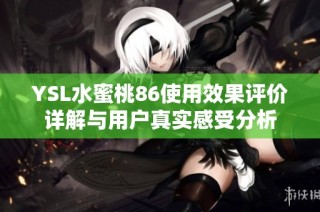 YSL水蜜桃86使用效果评价详解与用户真实感受分析