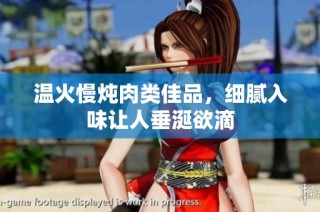 温火慢炖肉类佳品，细腻入味让人垂涎欲滴
